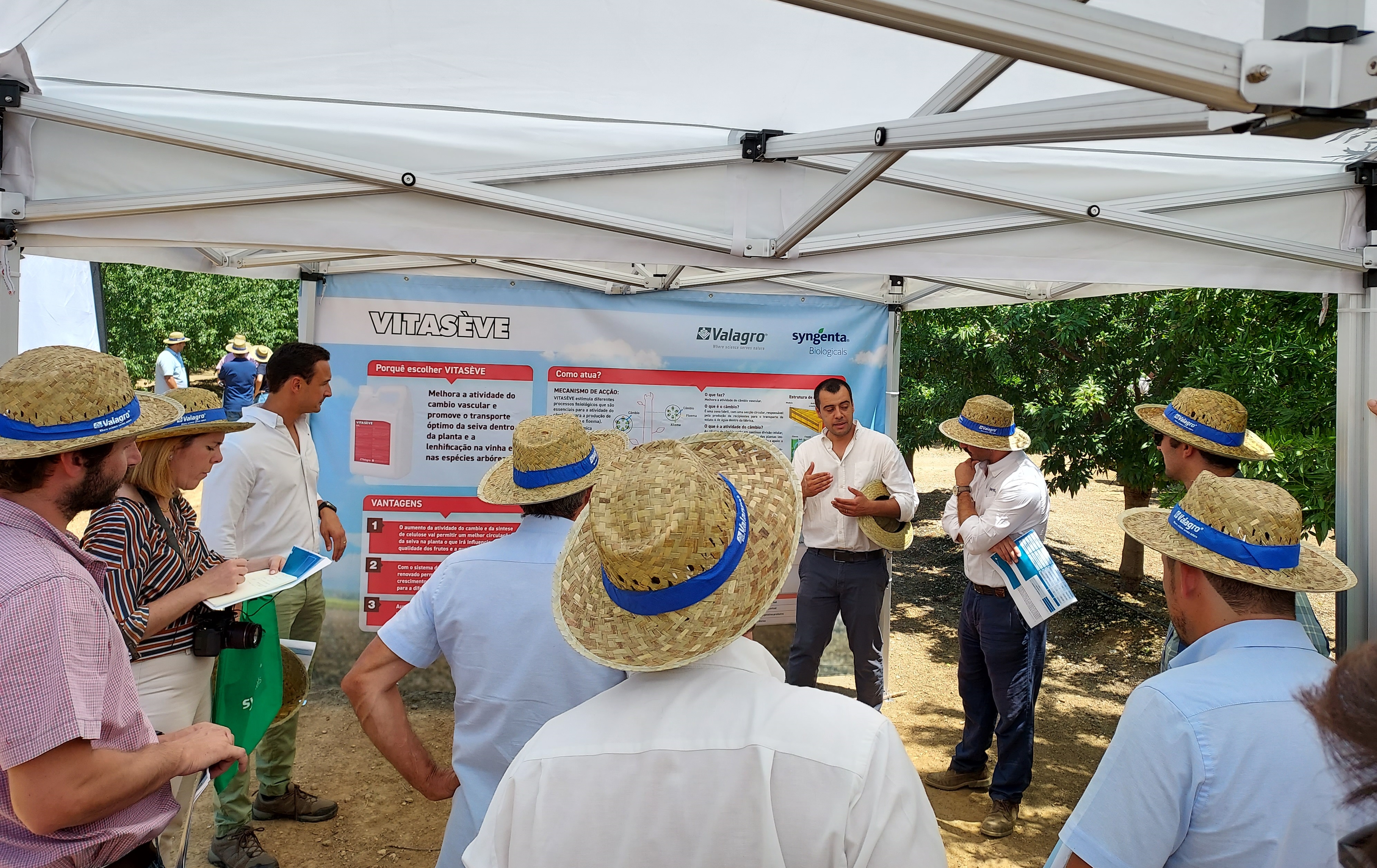 Syngenta Biologicals e Amêndoas Vitóriapolis apresentam resultados de programa de bioestimulação em amendoal